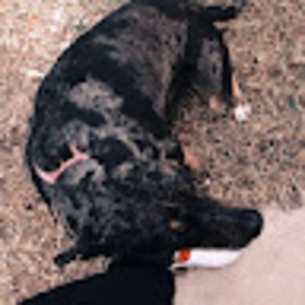 Meet your Posher, Izabella